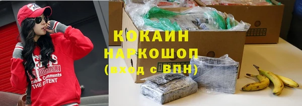 стафф Магадан