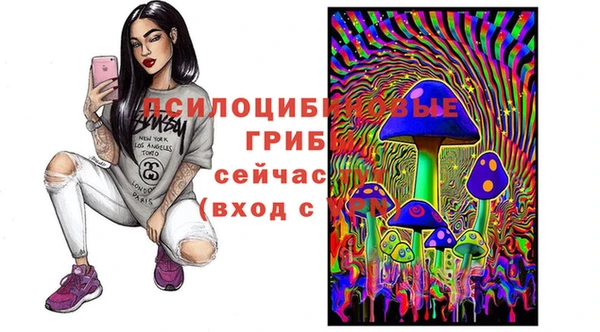 jwh Кострома