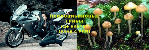 таблы Медногорск