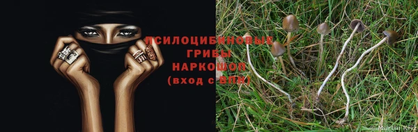 кокаин VHQ Магас