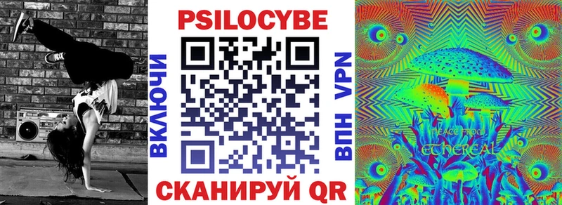 Купить где  Луга  Галлюциногенные грибы мицелий 